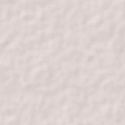 Chichimila Terrain Map