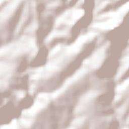 Guachinango Terrain Map