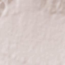 El Brillante Fraccionamiento Terrain Map