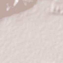 Punta de la Vega Terrain Map