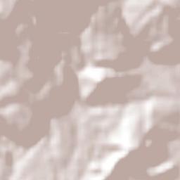 Bosque Real Fraccionamiento Terrain Map