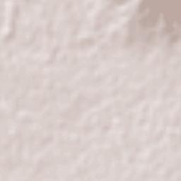 Paseo del Prado Terrain Map