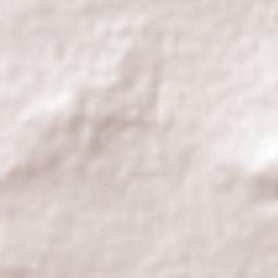 El Verde Terrain Map