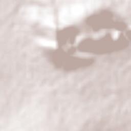 El Tepame Terrain Map