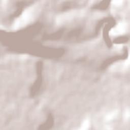 Puente Grande Terrain Map