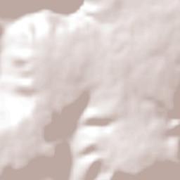 La Angostura de los Altos Terrain Map