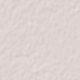 Zapote de Palomas Terrain Map