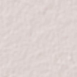 San José de Guanajuato Terrain Map