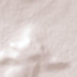 Guadalupe del Monte Terrain Map