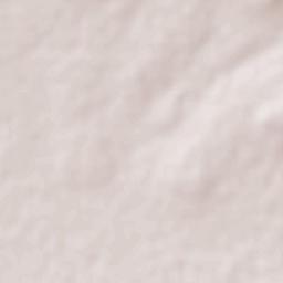 San José Viborillas Terrain Map