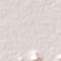 San Jose de los Olvera Terrain Map