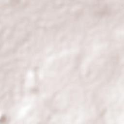 Santiago de Querétaro Terrain Map