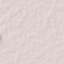 Noria Nueva Terrain Map