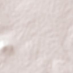 La Tortuga Terrain Map