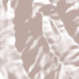 Metztitlán Terrain Map