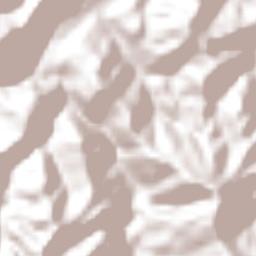 San Francisco Terrain Map