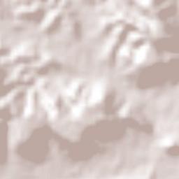 Miguel Hidalgo Terrain Map