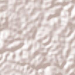 Vicente Herrera Terrain Map