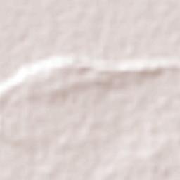 Maxcanú Terrain Map