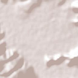 Mascota Municipality Terrain Map