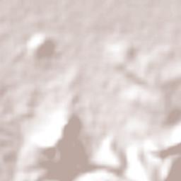 Nicolás R Casillas Terrain Map