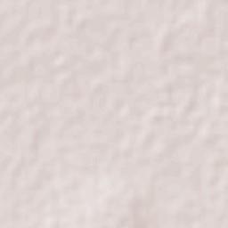 Paseos del Valle [Fraccionamiento] Terrain Map