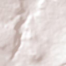 El Salto Municipality Terrain Map