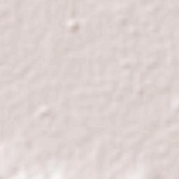 Tototlán Terrain Map