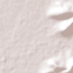 Ciénega del Pastor Terrain Map