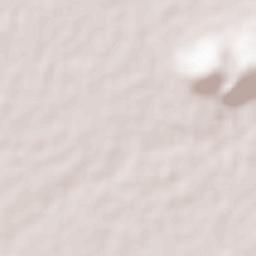 Laguna Larga Terrain Map