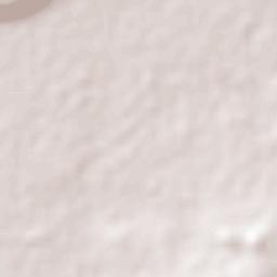 Pueblo Nuevo Terrain Map