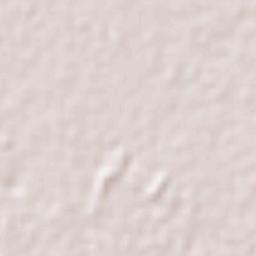 El Chinaco (El Pujido) Terrain Map