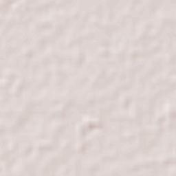 Colonia Patria Nueva Terrain Map