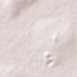 Tenango el Nuevo Terrain Map