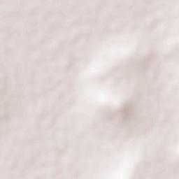 El Nacimiento Terrain Map