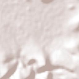 El Pueblito Terrain Map