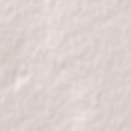 Palo Alto Terrain Map