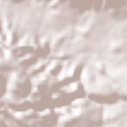 Caltimacan Terrain Map