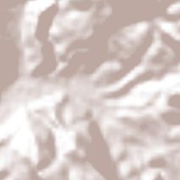 Mezquititlán Terrain Map