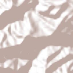 Huehuetla Terrain Map