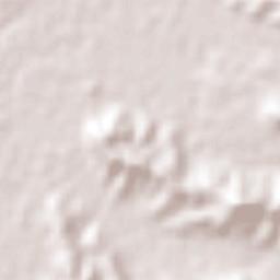 Poza Rica de Hidalgo Terrain Map