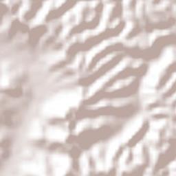 La Guásima Terrain Map