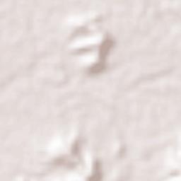 Dharampur Terrain Map