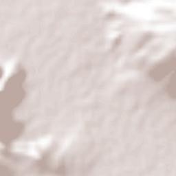 Santa Cruz de la Loma (Tepetates) Terrain Map