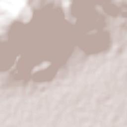 Santa Cruz de las Flores Tlajomulco de Zúñiga Jalisco Terrain Map