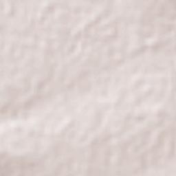 La Alameda Terrain Map