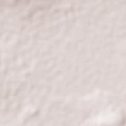 Galaxia Bonito Jalisco Terrain Map