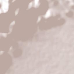 Zapote de Cestao Terrain Map