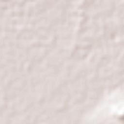 Colonia la Calzada (La Olla) Terrain Map