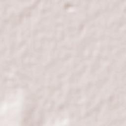 Santa Anita Terrain Map